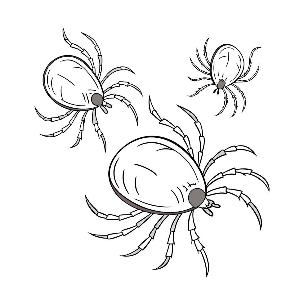 Showcase of Mites on Clean White Background vector