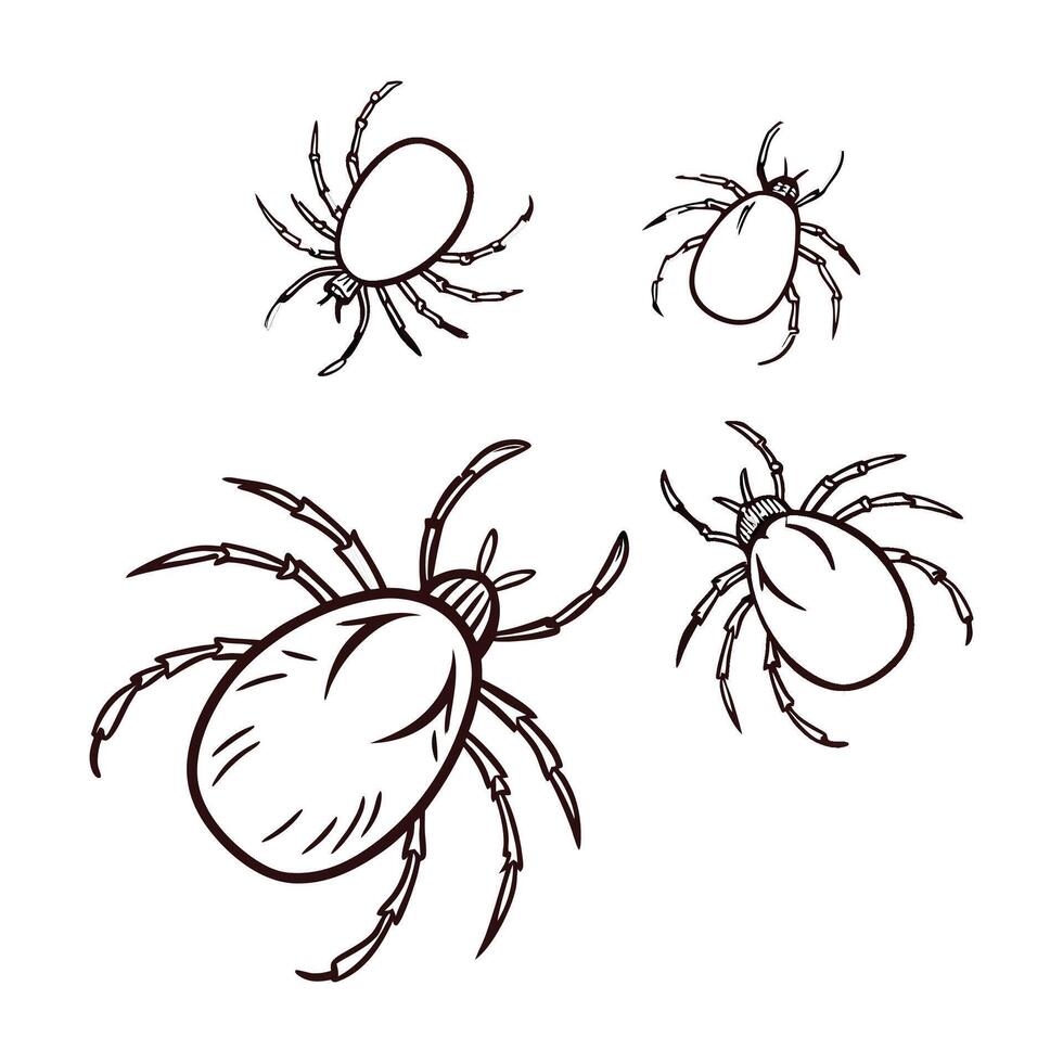 Mites Featured on Bright White Background vector