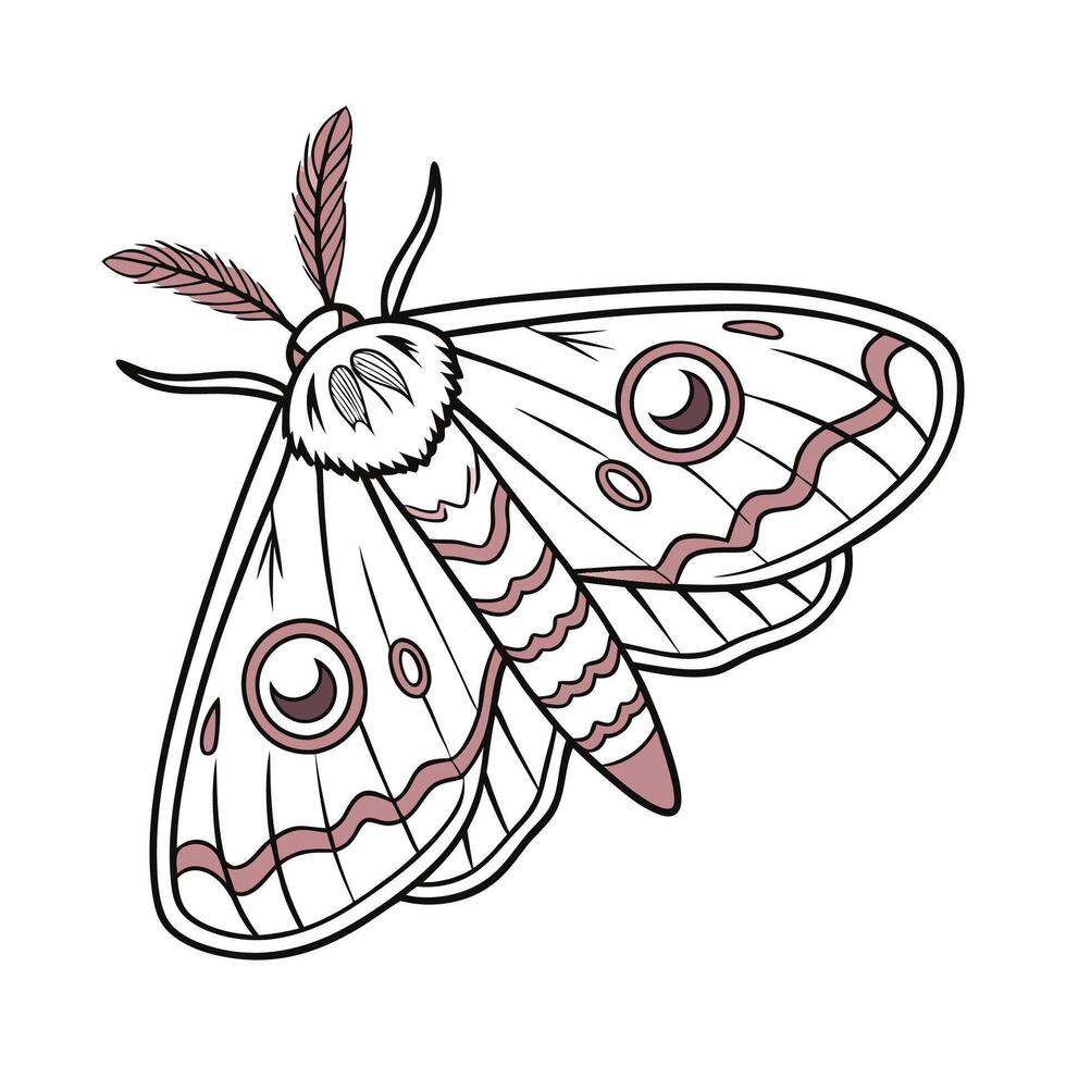 Moth Illustration on White Background vector
