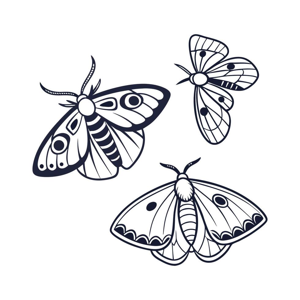 Moths Displayed on Bright White Surface vector