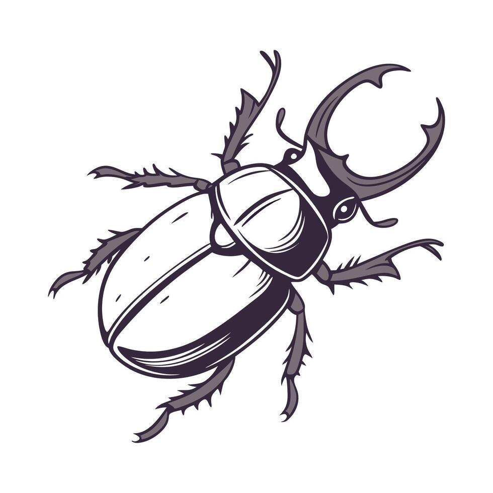 Showcase of Myrmeleon Formicarius on Bright White Background vector