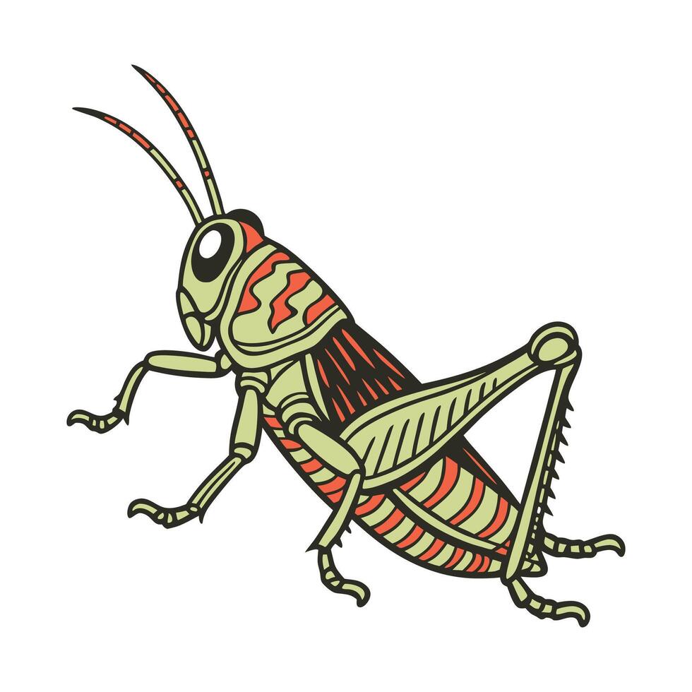 Myrmeleotettix Maculatus Displayed Against White Background vector