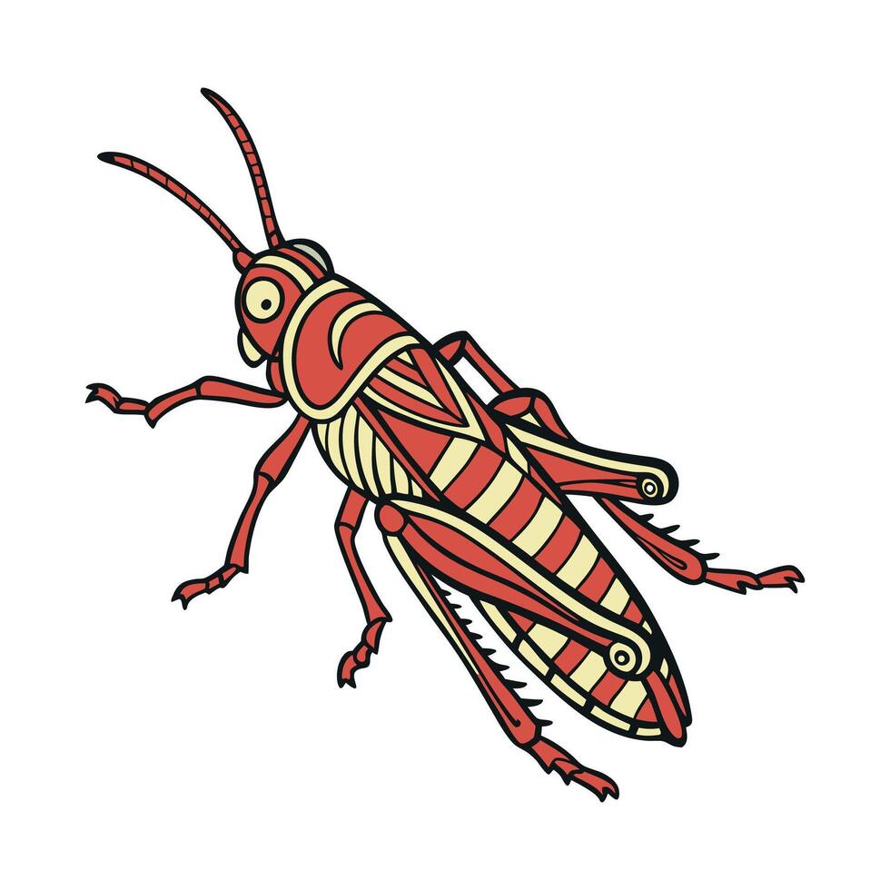 Showcase of Myrmeleotettix Maculatus on Clean White Background vector