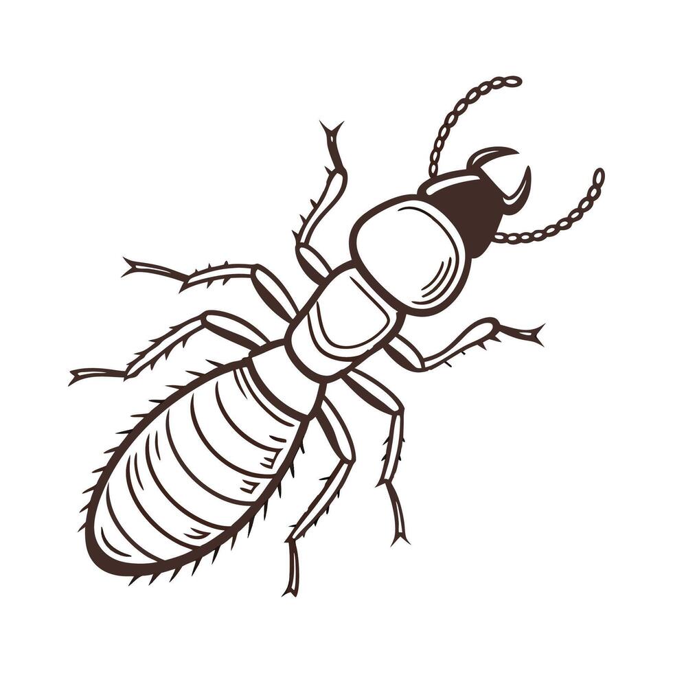 Dramatic View of Nasutitermes Corniger on White vector
