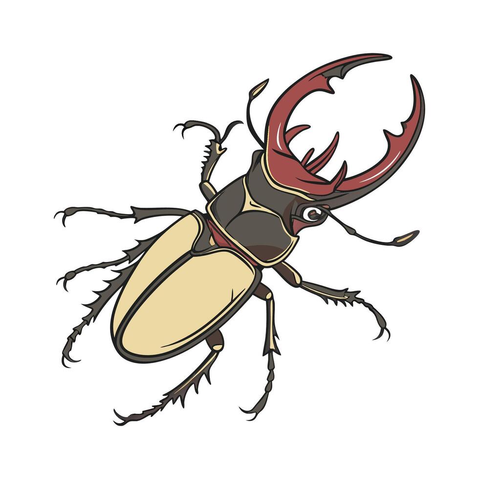Showcase of Neolucanus Swinhoei on Clean White Background vector