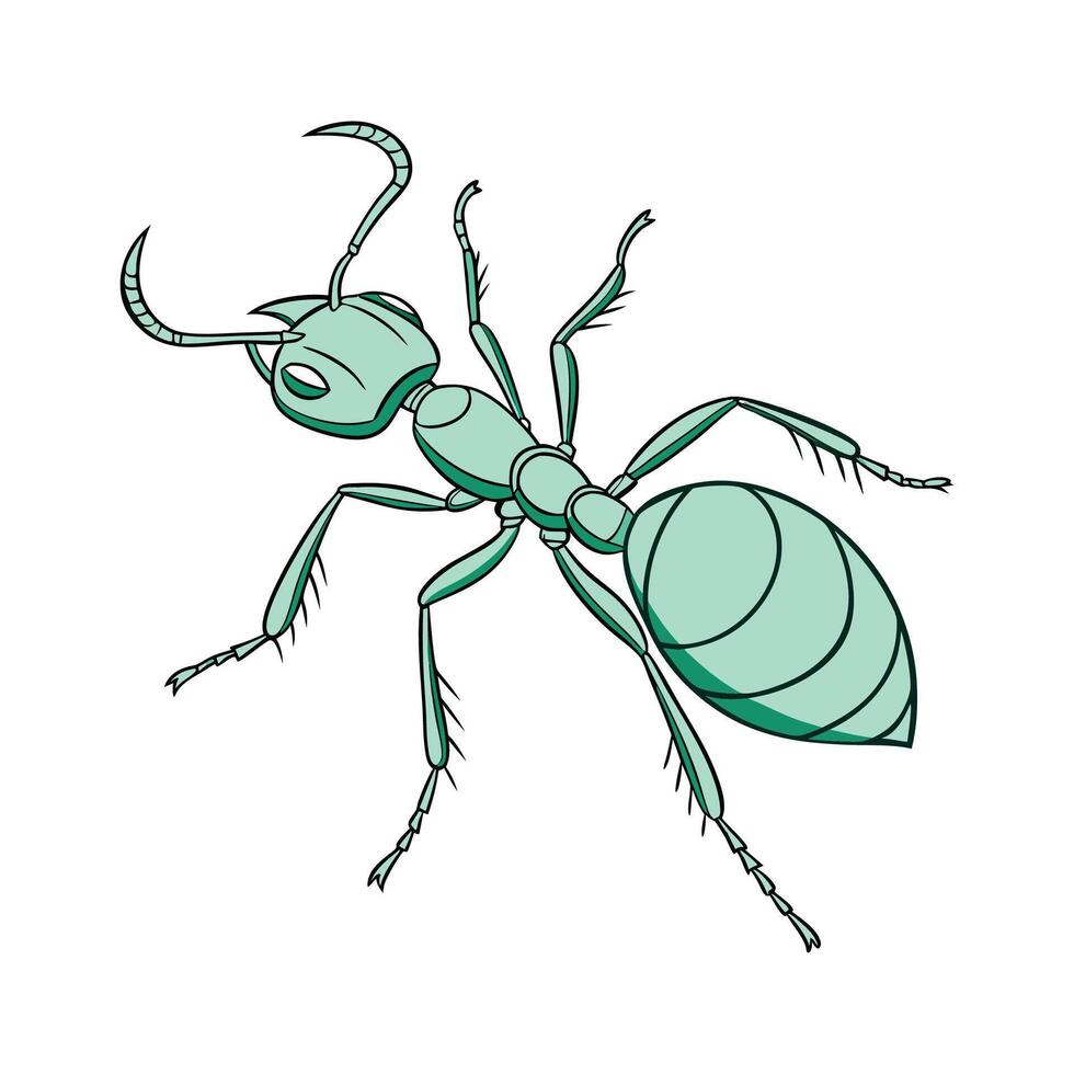 Oecophylla Smaragdina Featured Against White Background vector