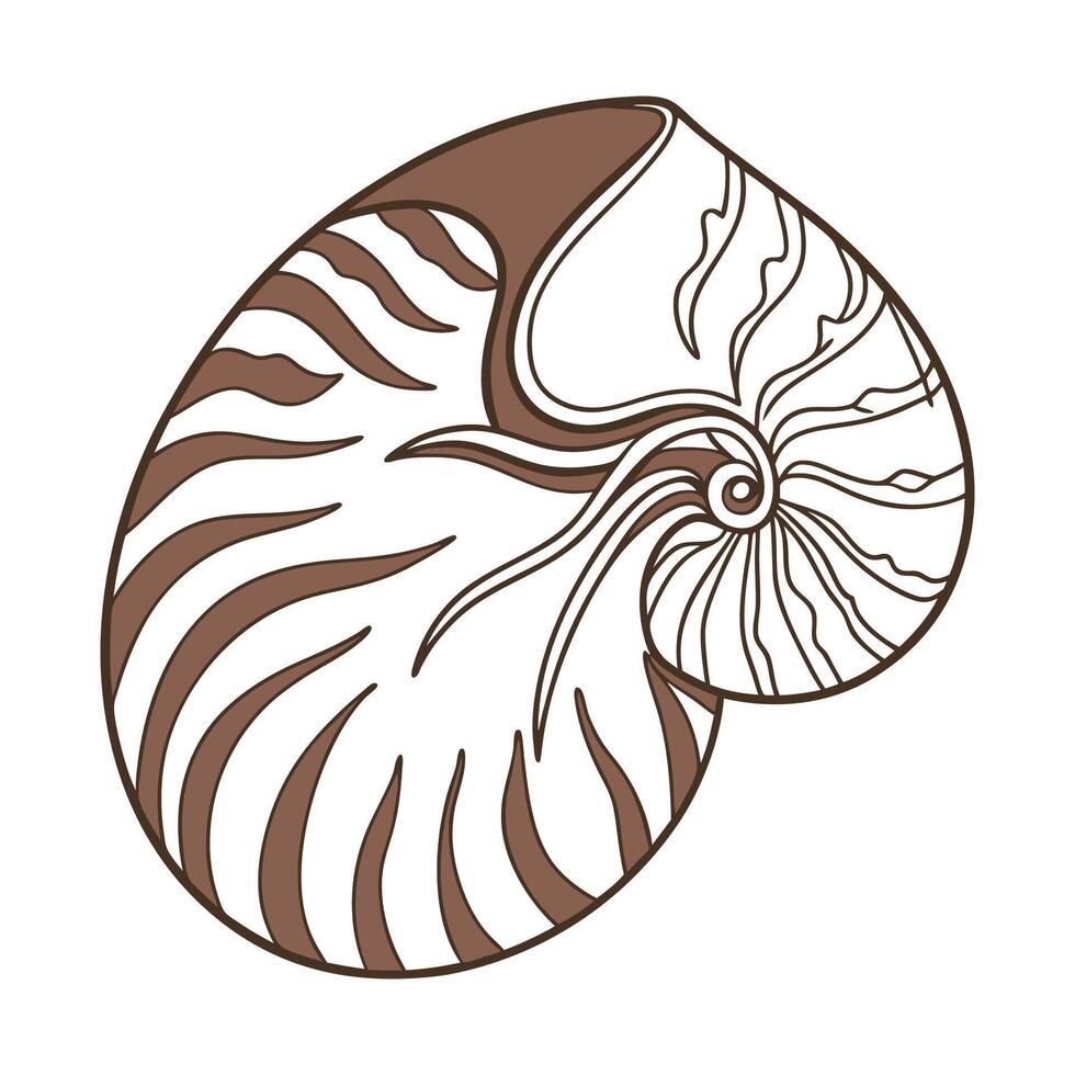 Perla Marginata Featured on Bright White Surface vector