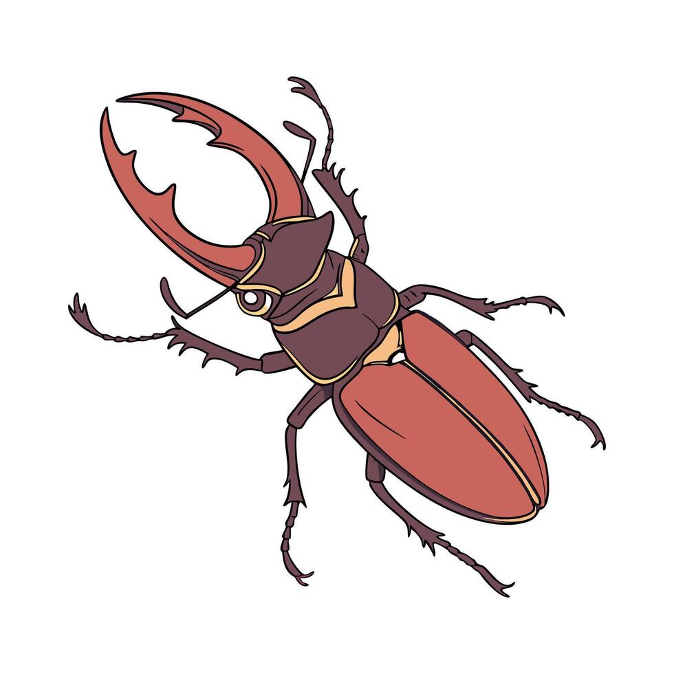 Prosopocoilus Mohnikei on Bright White Surface vector