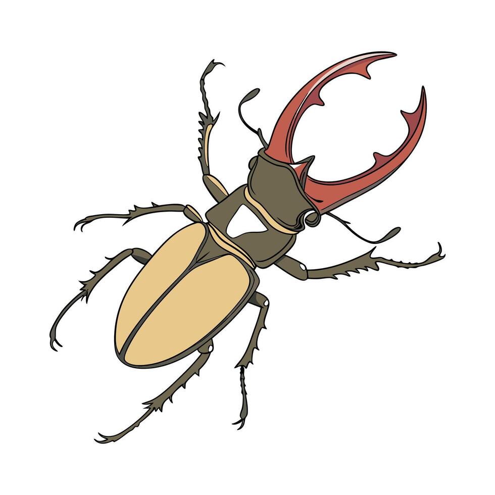 Prosopocoilus Mohnikei Featured on Bright White Background vector