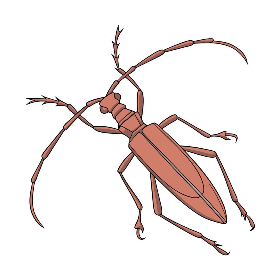 Pseudophasma Rufipes on Bright White Background vector