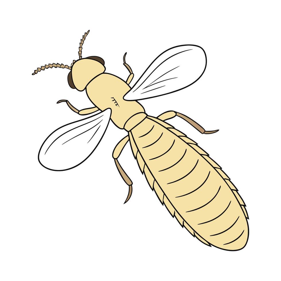 Showcase of Reticulitermes Flavipes on Clean White Surface vector