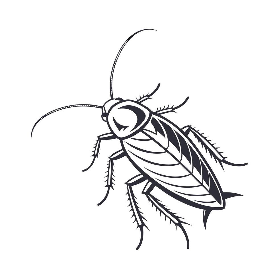 Roach Featured on Clean White Surface vector