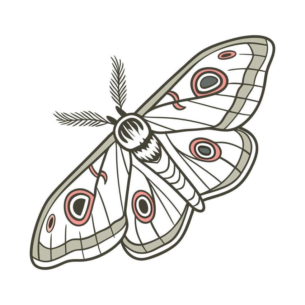 Saturnia Pyri on Bright White Background vector