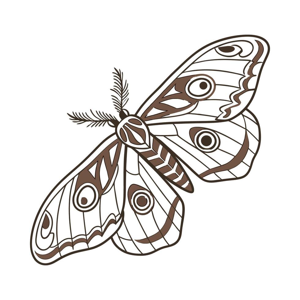 Dramatic Capture of Saturnia Pyri on White vector