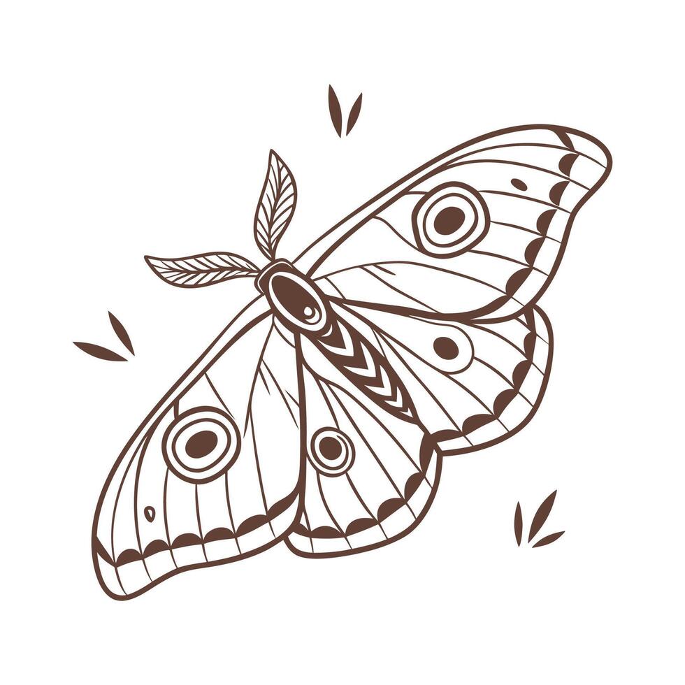 Display of Saturnia Pyri on Clean White Surface vector