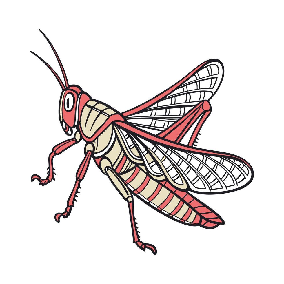 Display of Schistocerca Gregaria on Clean White Background vector
