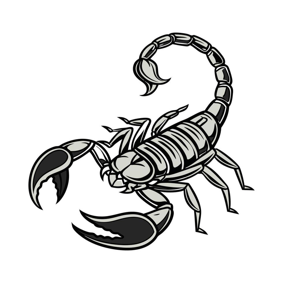 Scorpion Featured on Bright White Background vector
