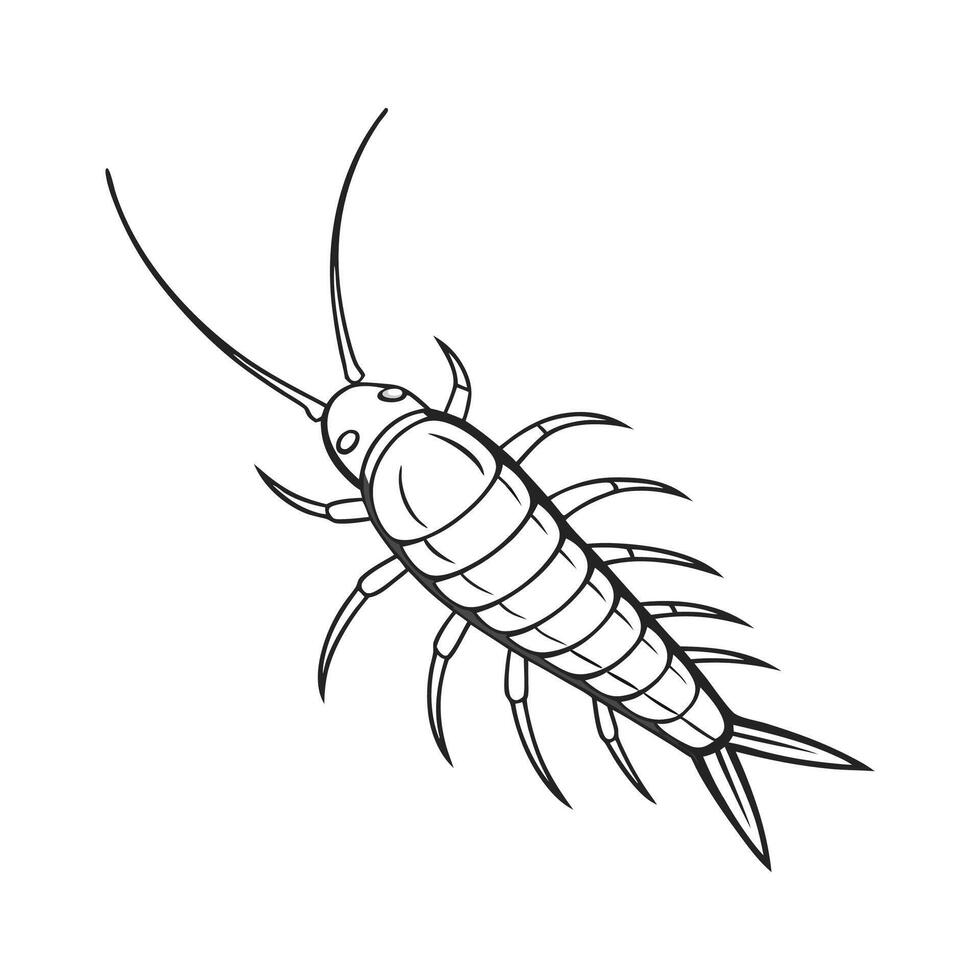 Display of Silverfish on Clean White Background. vector