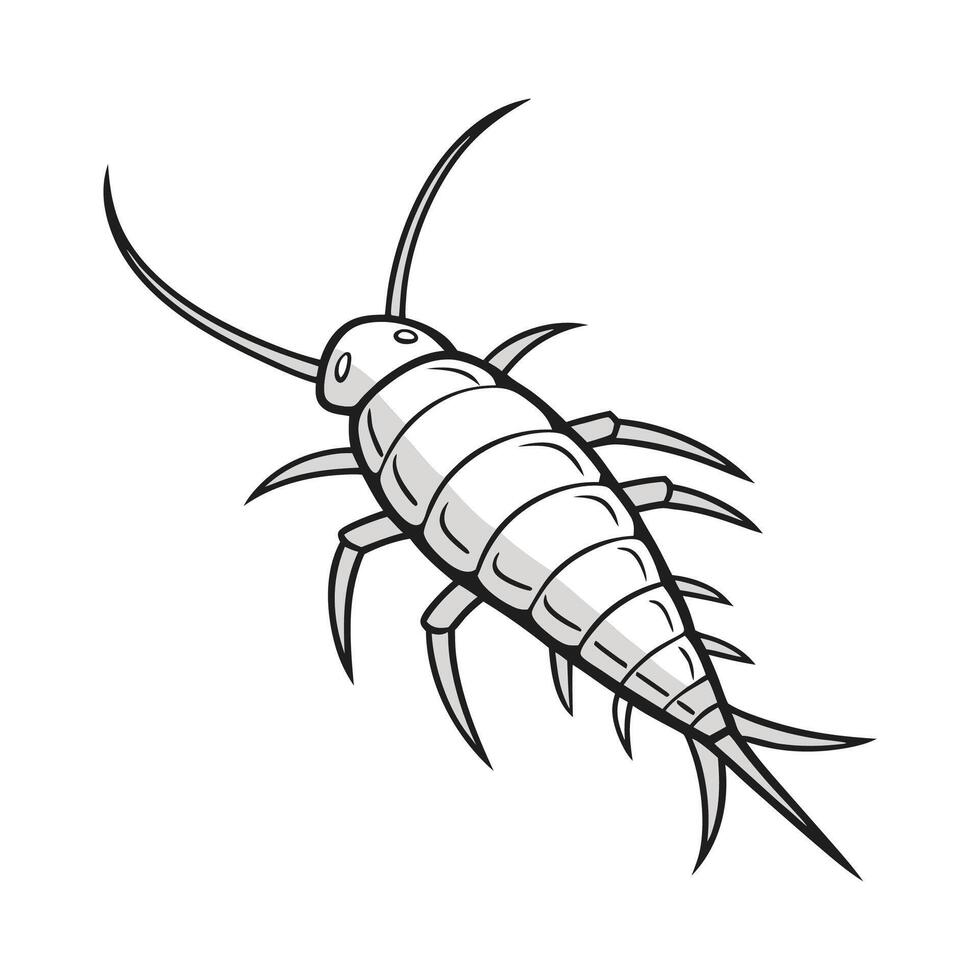 Beautiful Silverfish Art on White vector