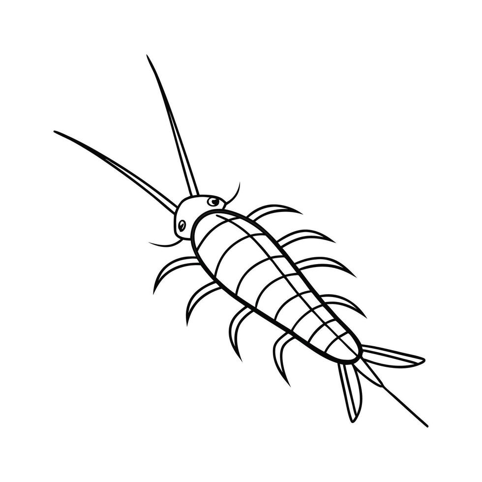 Silverfish Displayed on Clean White Background vector