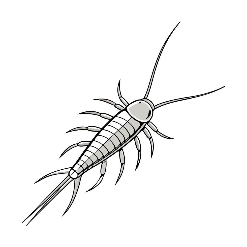 Dramatic Capture of Silverfish on Bright White Surface vector