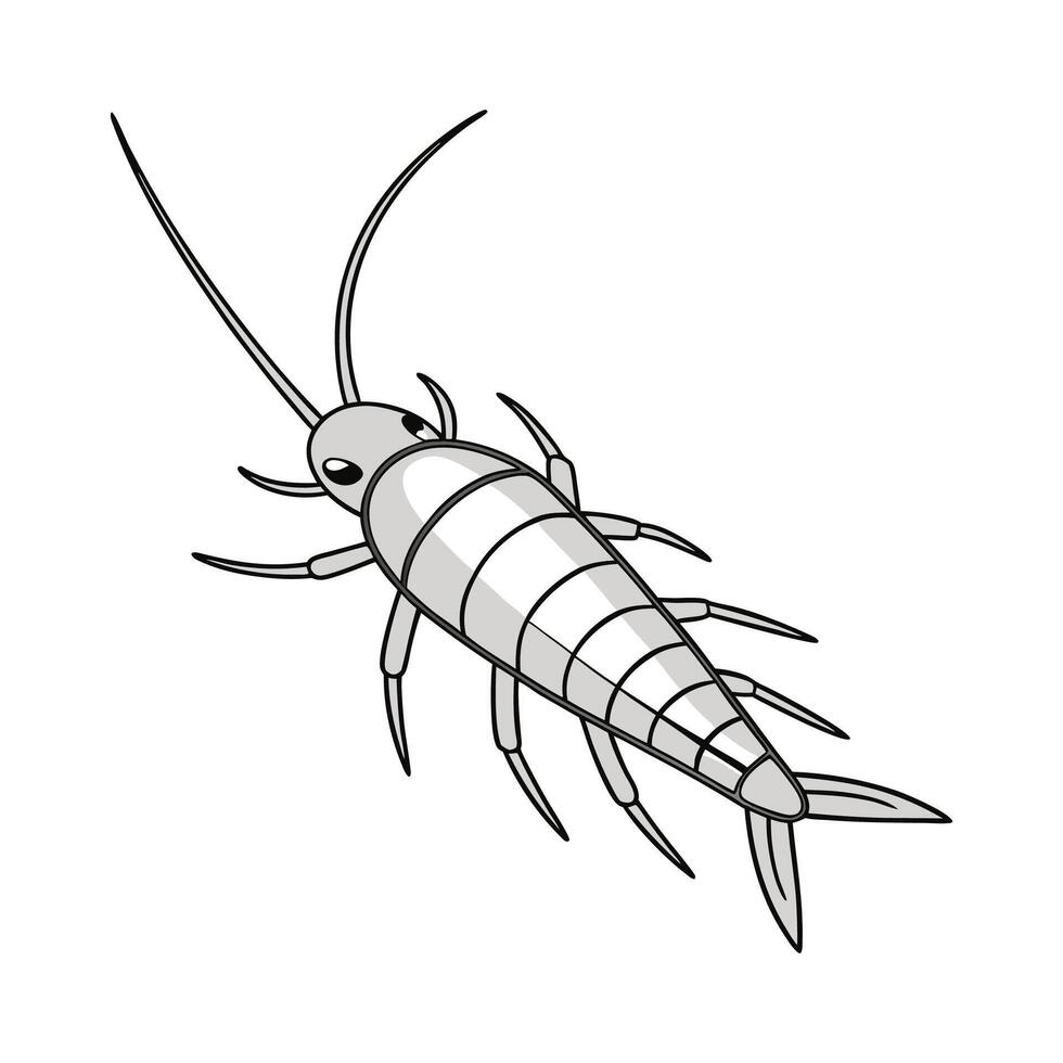 Dramatic View of Silverfish on White vector