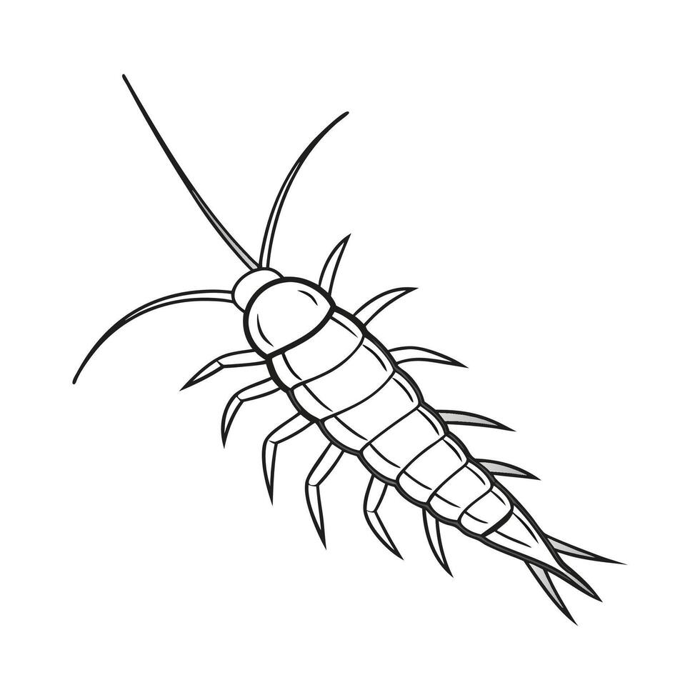 Dramatic View of Silverfish on Clean White Background vector
