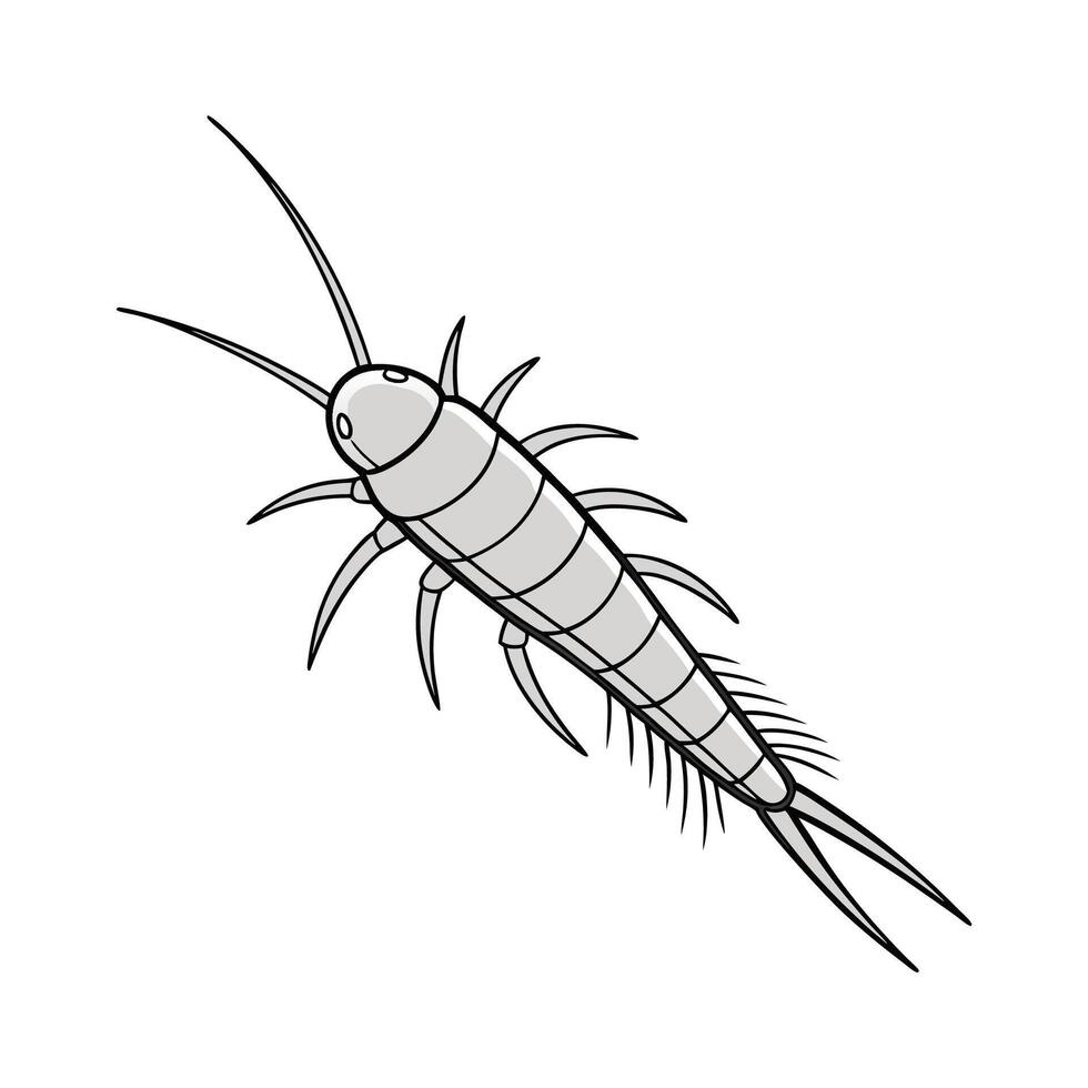 Silverfish Featured on Clean White Background vector