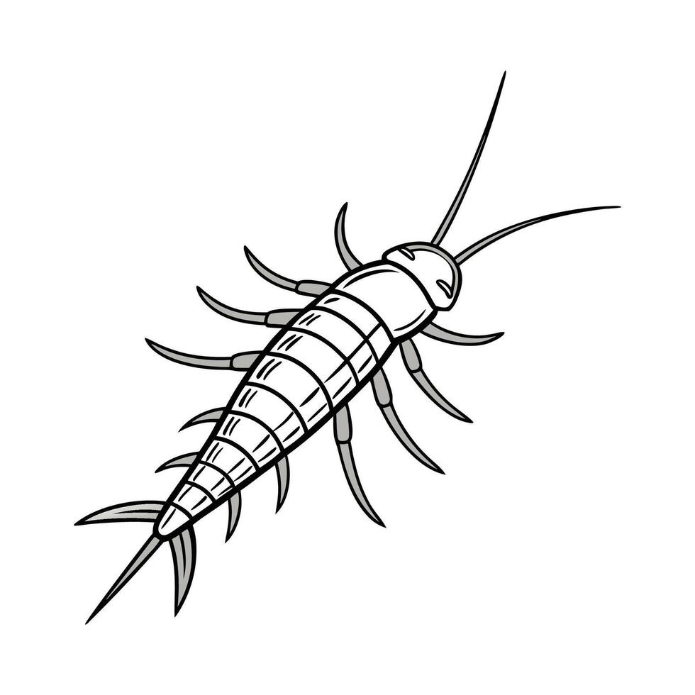 Display of Silverfish on Bright White Surface vector