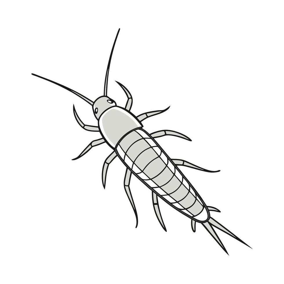 Dramatic Capture of Silverfish on Clean White Background vector