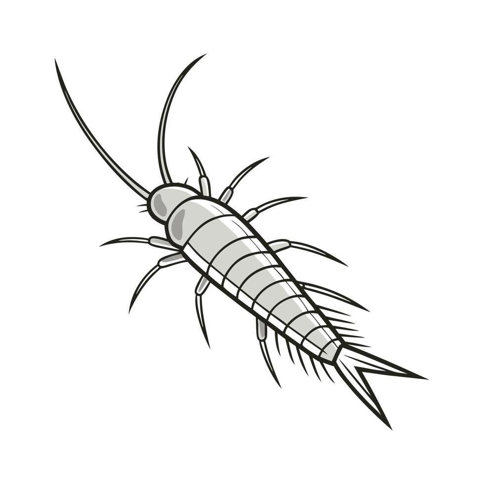 Dramatic View of Silverfish on White. vector