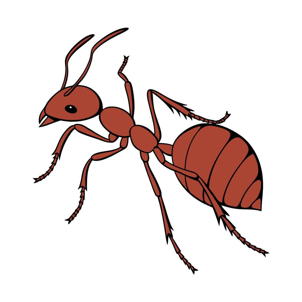 Dramatic Capture of Solenopsis Invicta on Clean White Surface vector