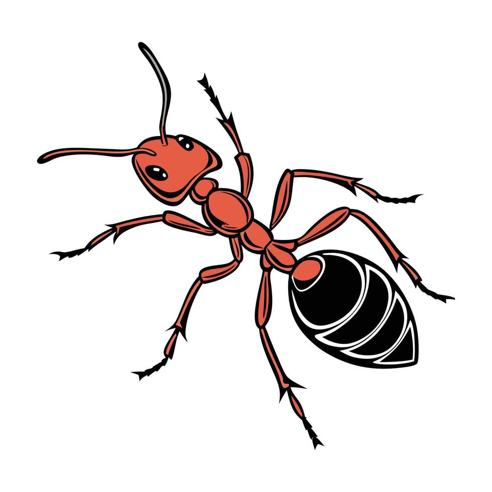 Display of Solenopsis Invicta on Bright White Background vector