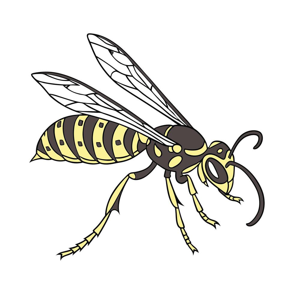 Dramatic Capture of Sphex Ichneumoneus on White vector