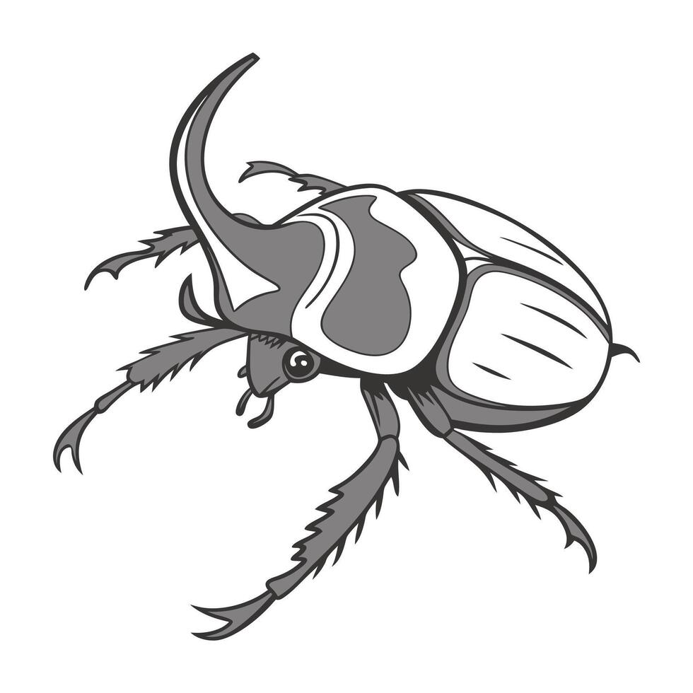 Display of Stauroderus on Clean White Background vector