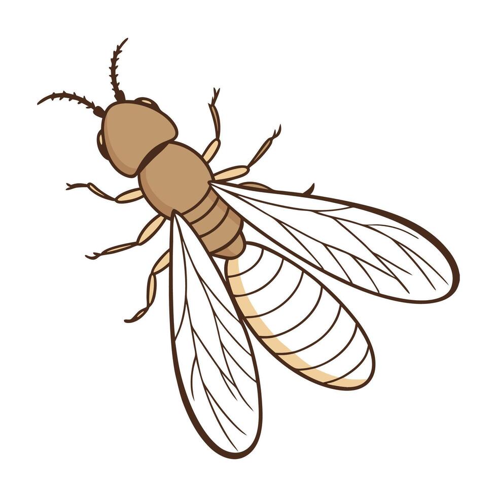 Display of Termite on Clean White Background vector
