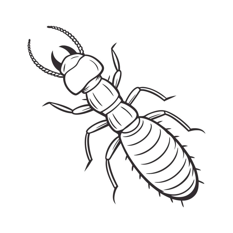 Termite Illustration Isolated on White Background vector