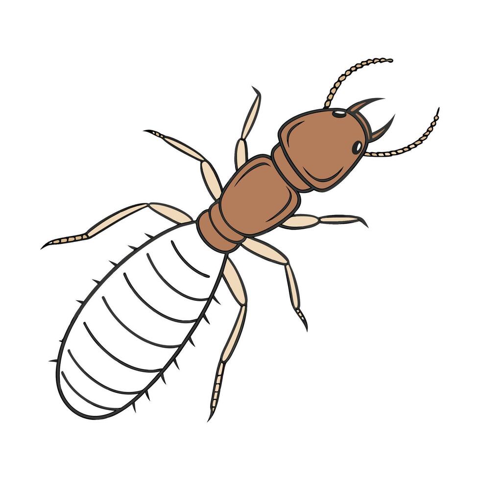 Isolated Termite Illustration on a White Background vector