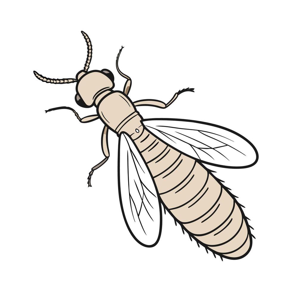 Creative Illustration of a Termite on White vector
