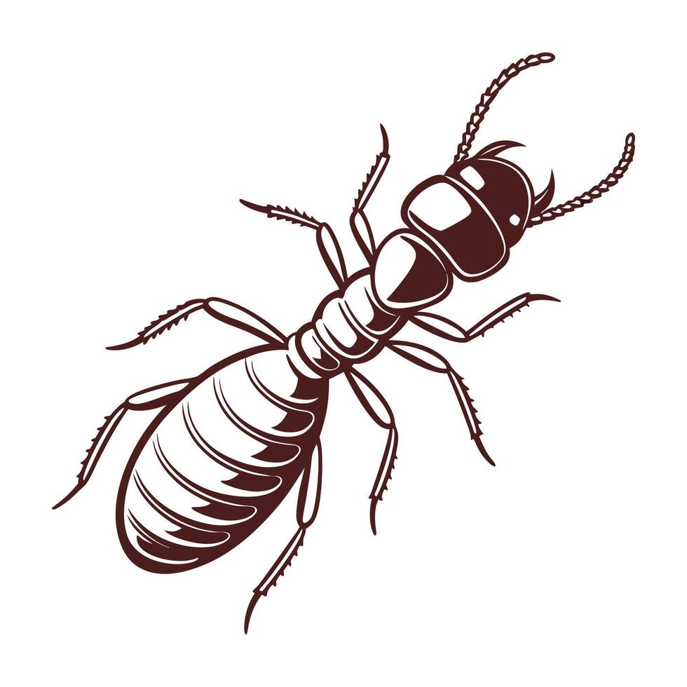 Dramatic View of Termite on Clean White Background vector