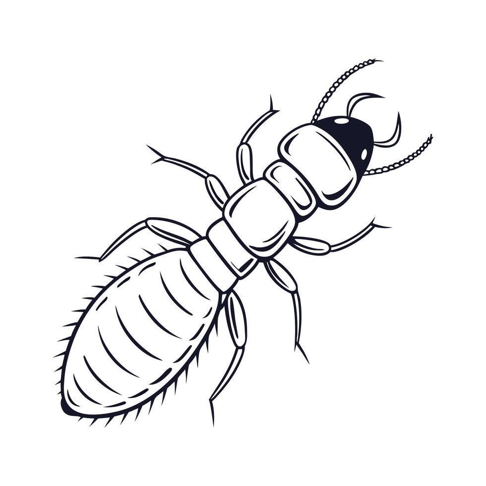 Termite Illustration on Clean White Background vector