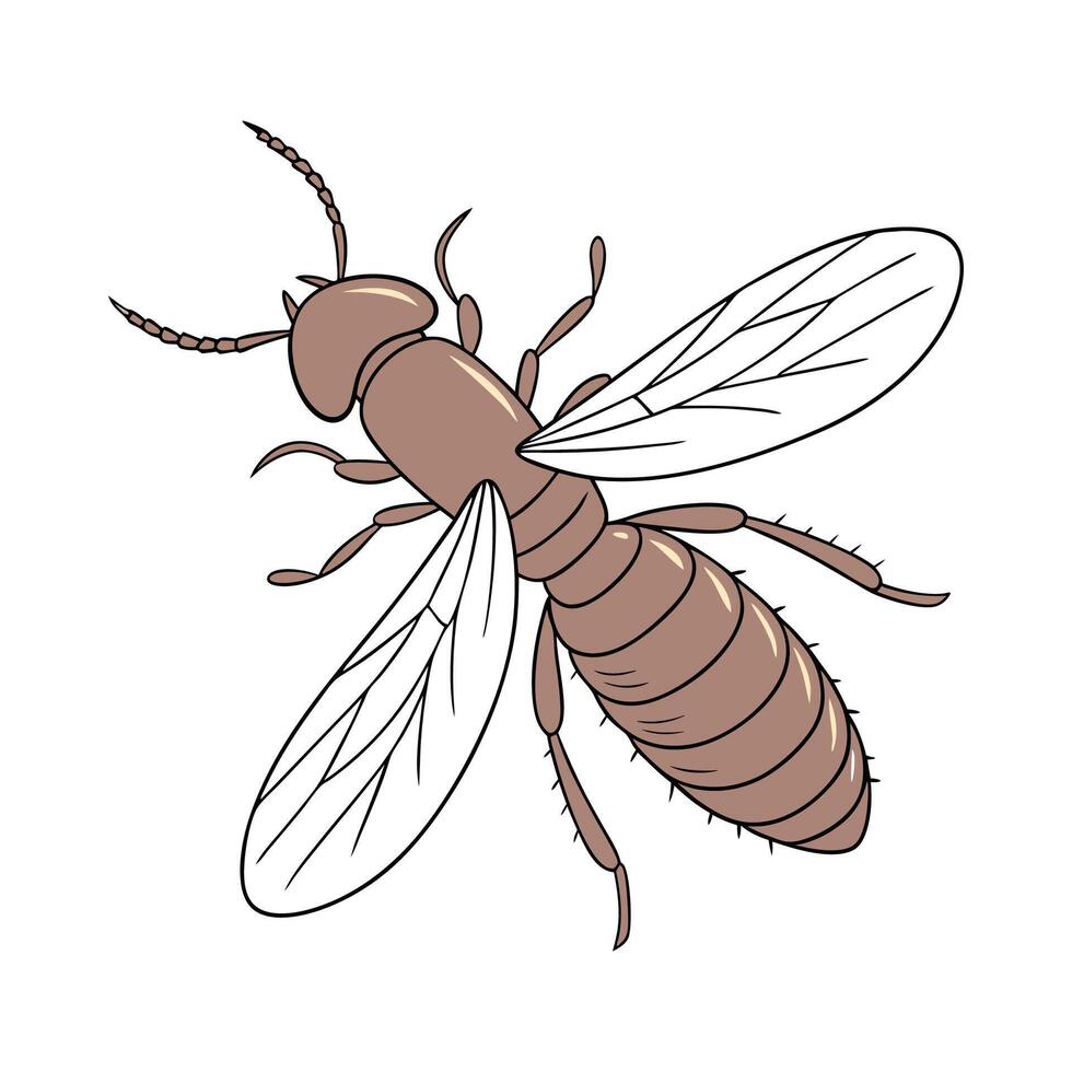 Display of Termite on Clean White Surface vector