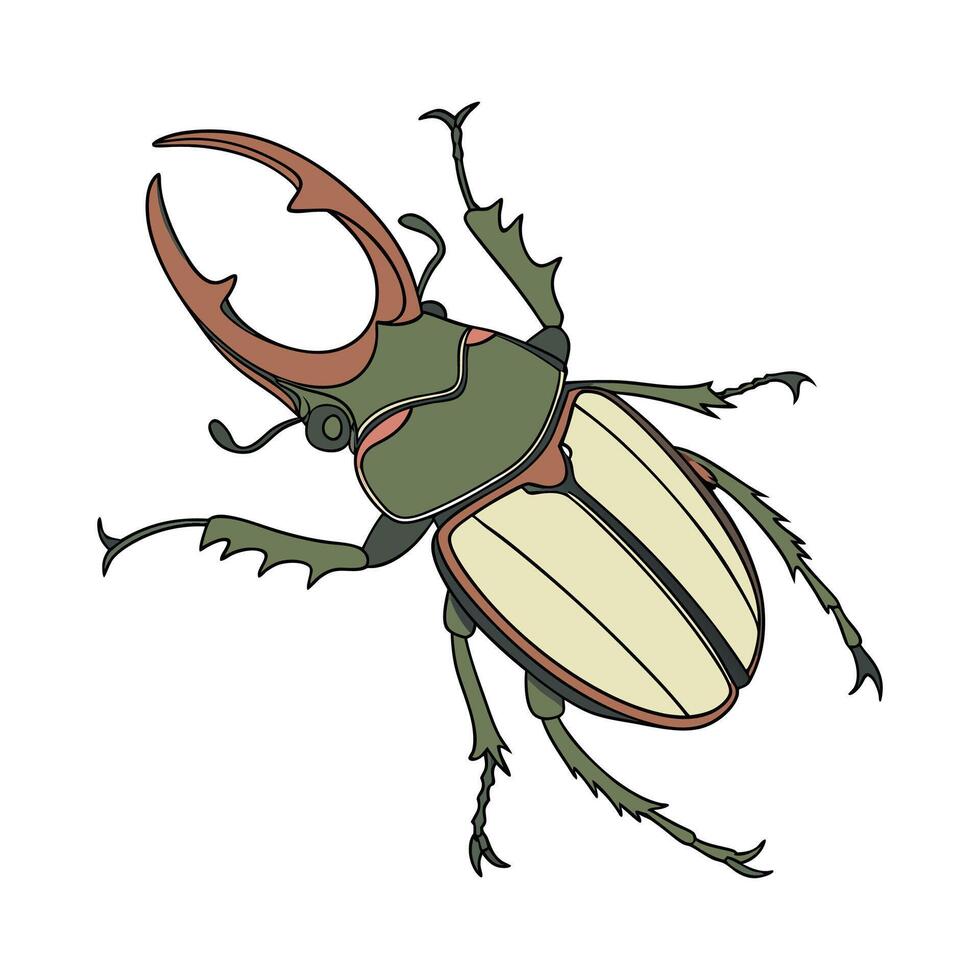 Theopropus Elegans on Bright White Surface vector