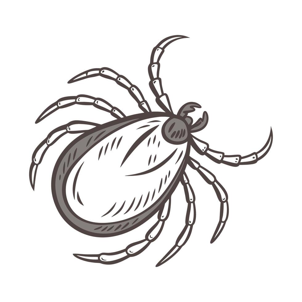 Tick Featured on Bright White Surface vector