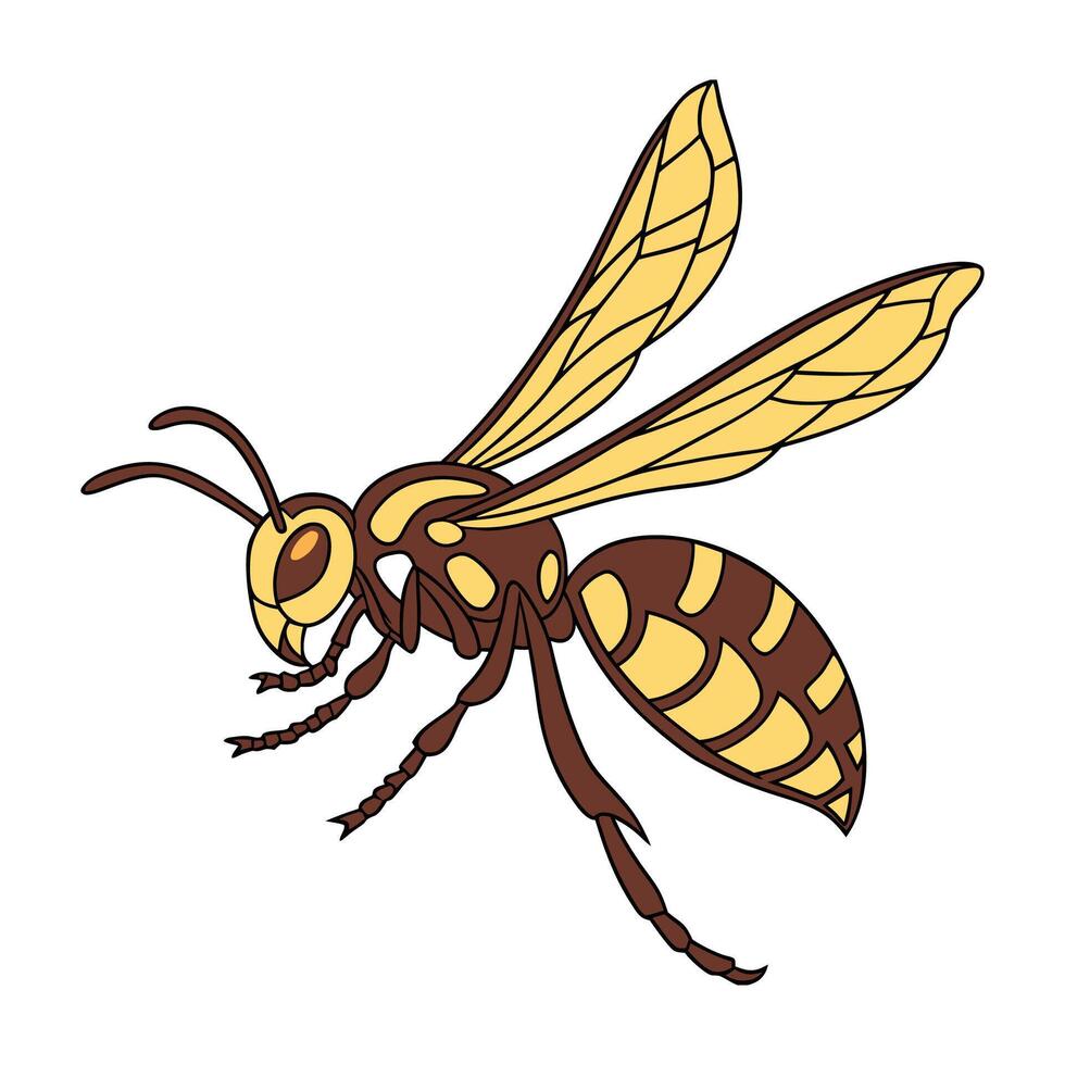 Vespa Mandarinia on Bright White Surface vector