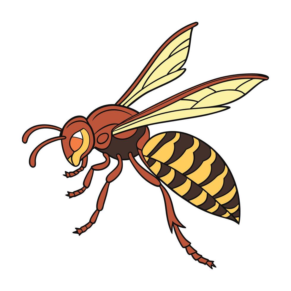 Dramatic Capture of Vespa Mandarinia on White vector