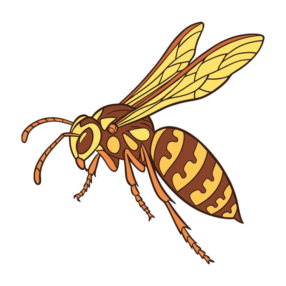 Vespa Velutina on Bright White Surface vector