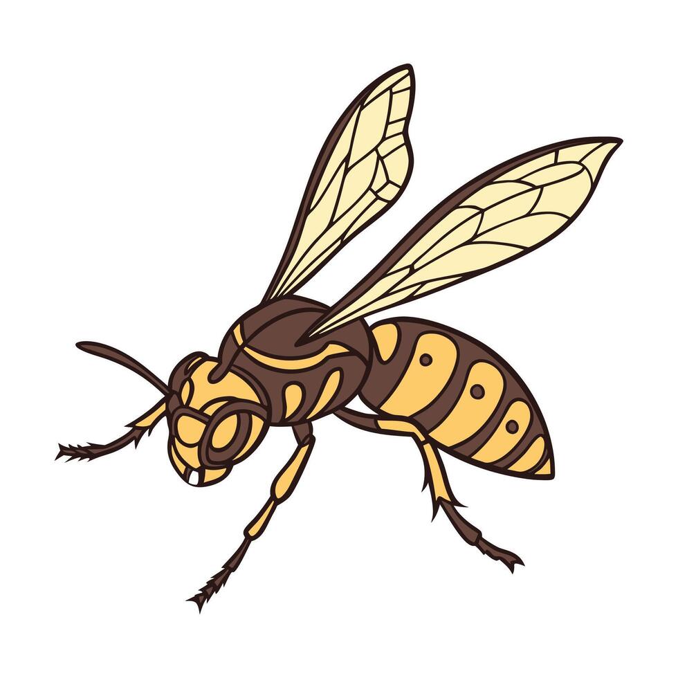 Dramatic Capture of Vespa Velutina on White vector