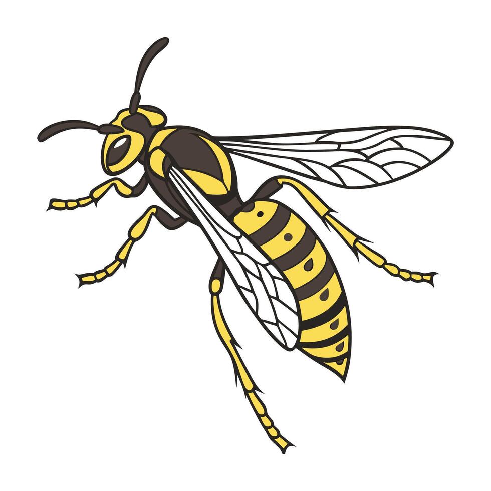 Dramatic Capture of Vespula Germanica on White vector
