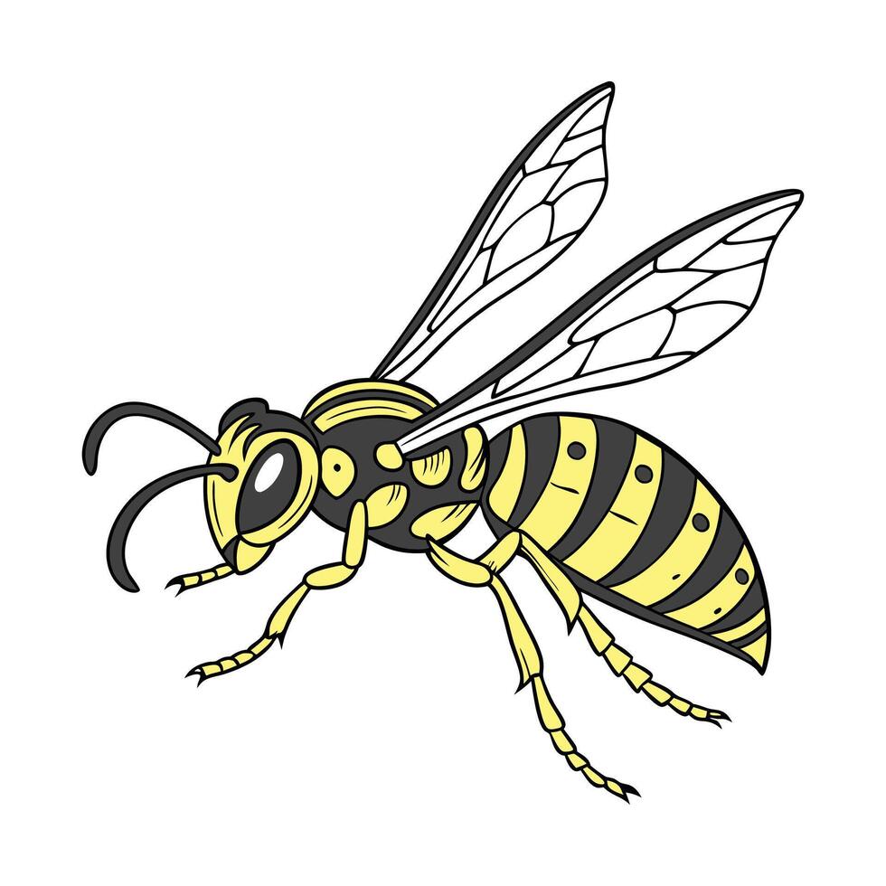 Detailed Wasp Illustration on Bright Background vector